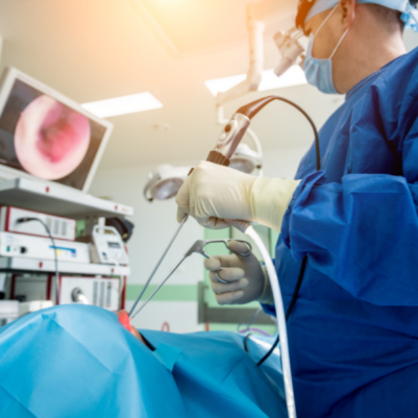 Anatomía pélvica y laparoscopia ginecológica: De lo básico al retroperitoneo | Streaming MX