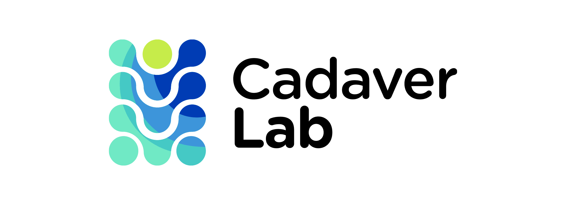 CadaverLab