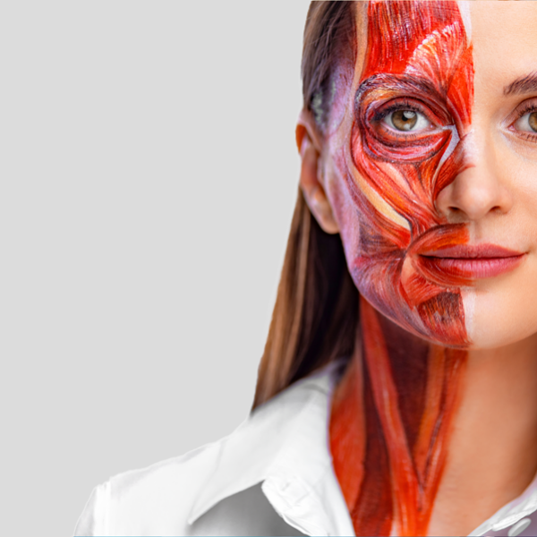 2ª convocatoria – Curso de anatomía facial para el uso de inyectables | Presencial Guadalajara
