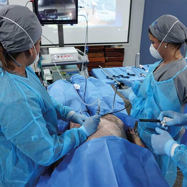 Anatomía pélvica y laparoscopia ginecológica: De lo básico al retroperitoneo | Streaming MX - Segunda convocatoria