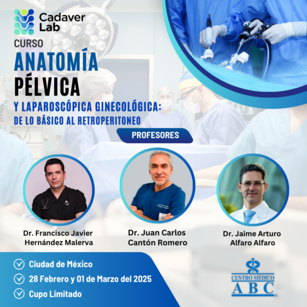 Presencial Premium Curso Anatomía pélvica y laparoscopia ginecológica: De lo básico al retroperitoneo 28 febrero y 1 de marzo