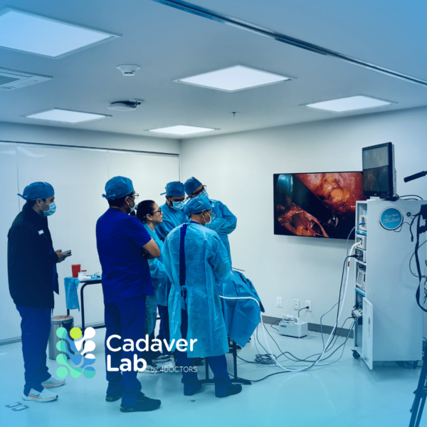 Presencial Curso Reparación de Pared Abdominal en Hernia Ventral - Imagen 8