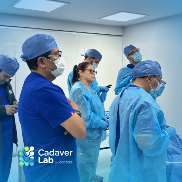 Presencial Curso Reparación de Pared Abdominal en Hernia Ventral - Imagen 2