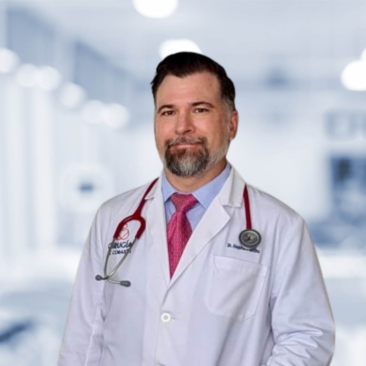 Dr. Alejandro Molina Romo Dr. Martín Vega de Jesús