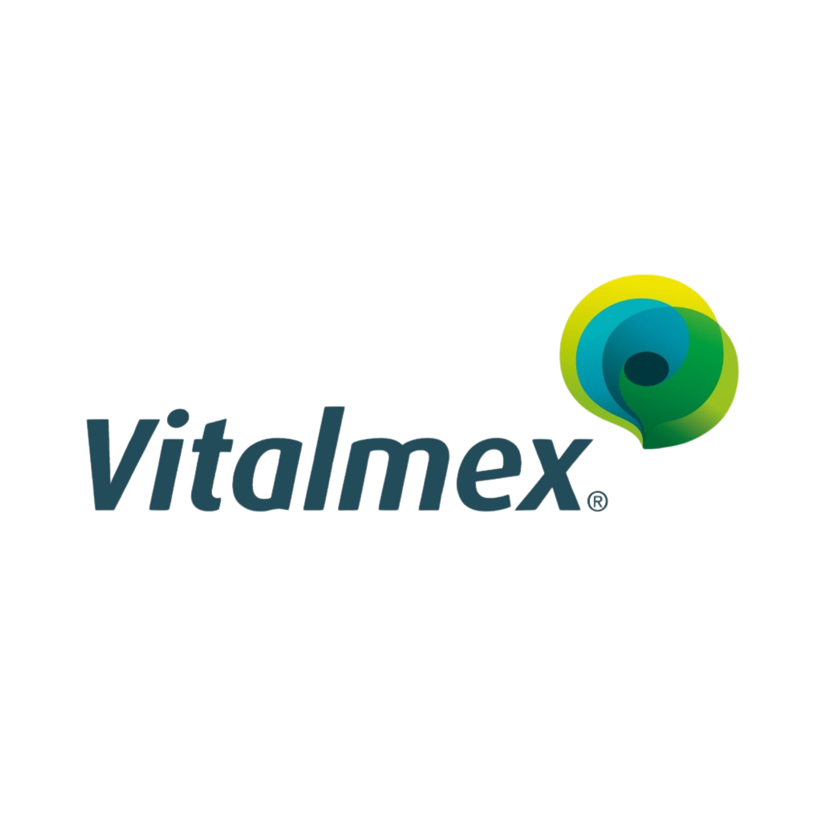 VITALMEX PARTNERS