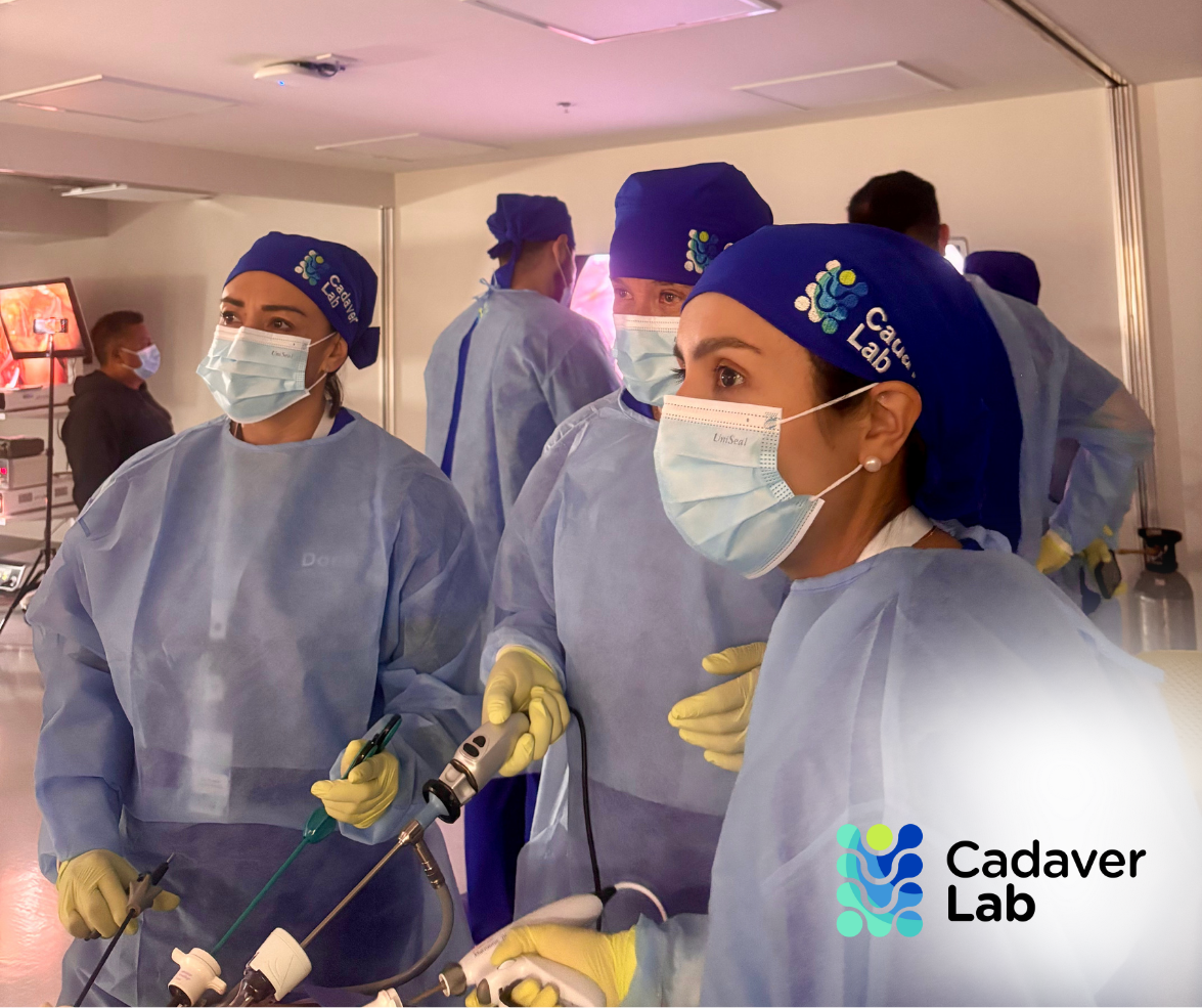 Presencial Curso Laparoscopia Ginecológica Avanzada: Abordaje del Retroperitoneo y Cirugía de Endometriosis en CadáverLab - Imagen 8